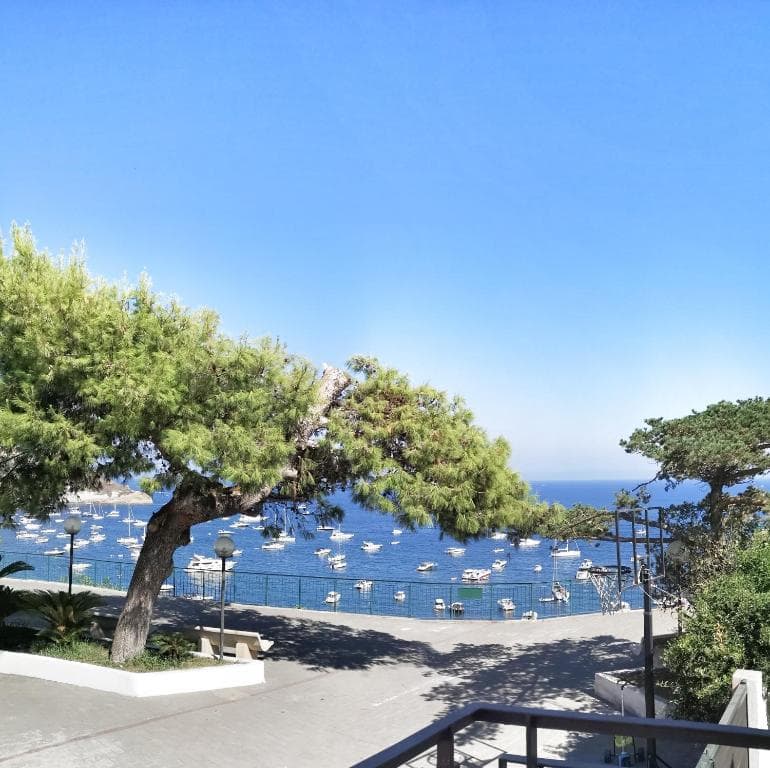 Calise Guest house — foto 8