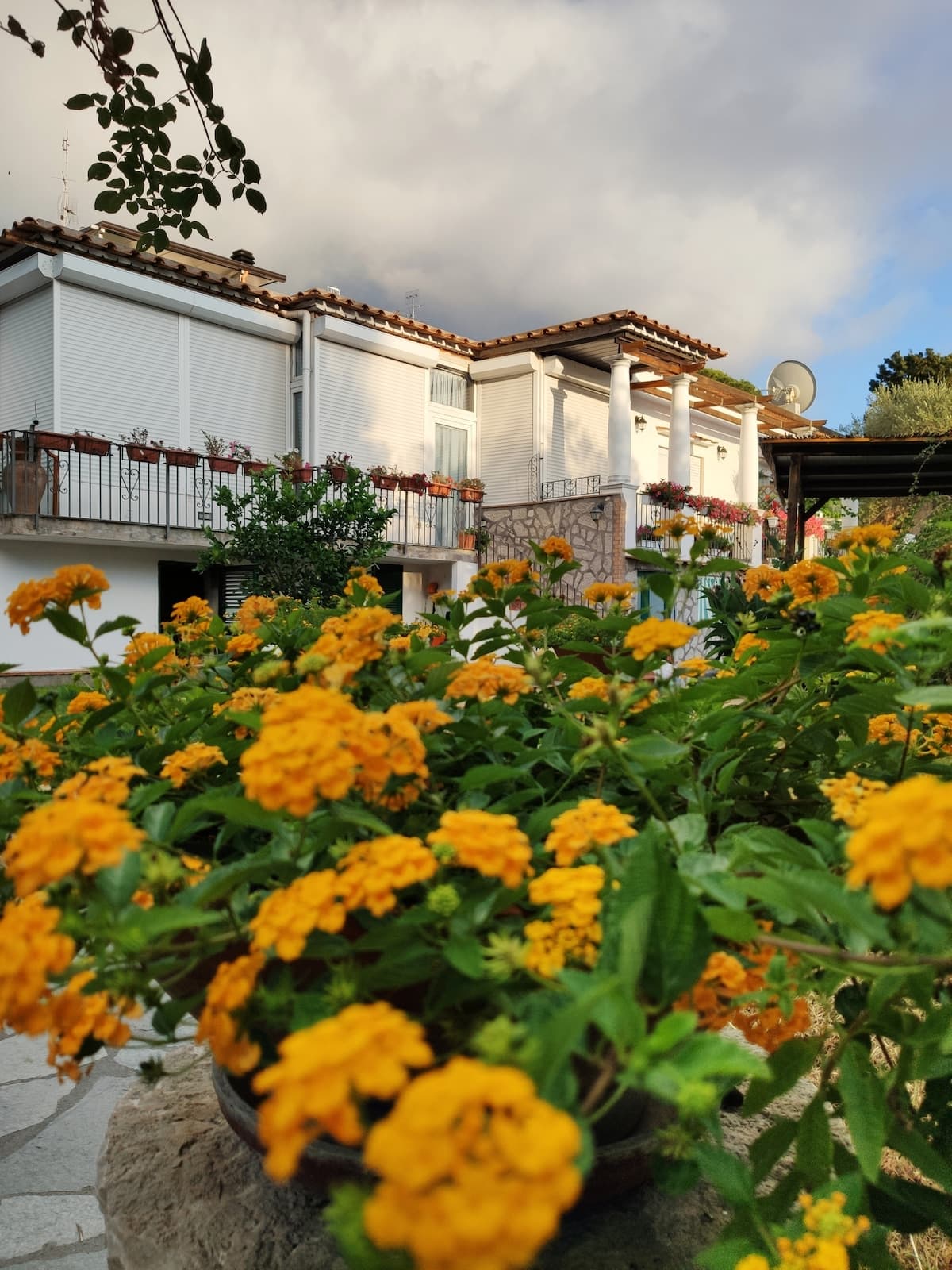 A casa dei miei — foto 5