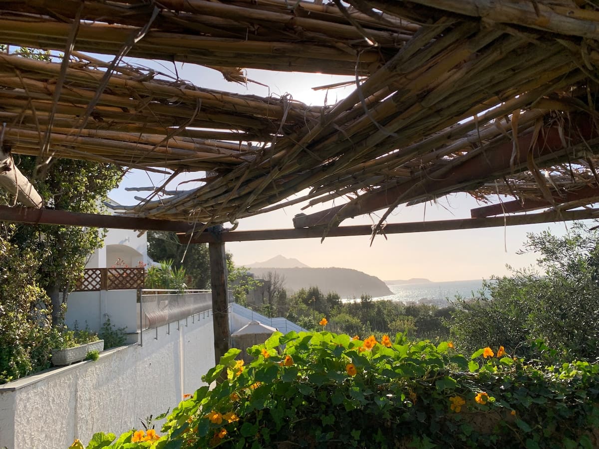 La caccetta: Ulivo — foto 4