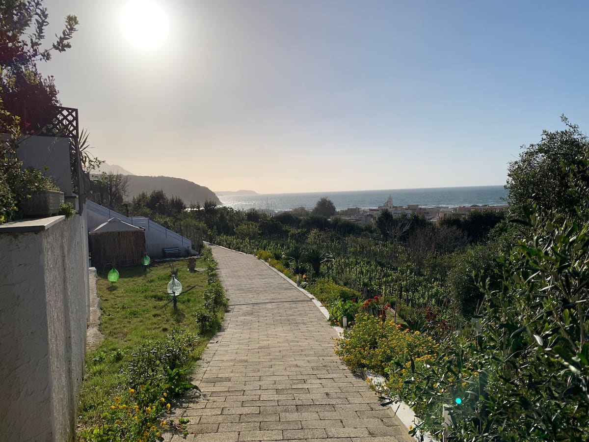La caccetta: Ulivo — foto 6